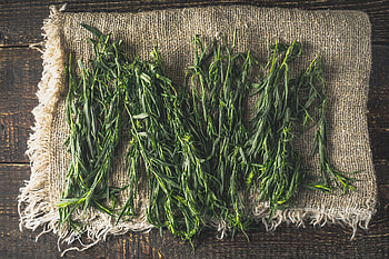 Tarragon herb, Tarragon vs rosemary, Spice showdown, Spiceography HD wallpaper