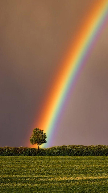 Rainbow, Bright Rainbow HD phone wallpaper