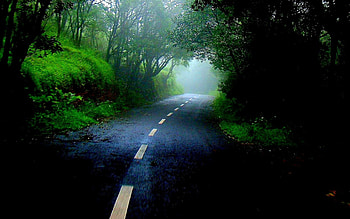 Street to nowhere, colorful, black, colors, rue, fog, trees, magic, path, landscape, beautiful, way, pretty, green, view, street, nature, forest HD wallpaper