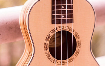 Ukulele charm, High definition plucking, Vibrant , Musical HD wallpaper