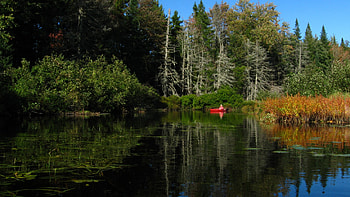 Fishing hole, boat, people, forest, lake HD wallpaper