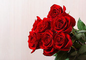 Red bouquet, Valentine, Roses, Love, Bouquet HD wallpaper