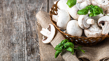 Champignons interessantes, Schmackhaften pilz, Food HD wallpaper