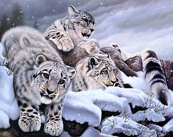 ✰Splendor of Snow Leopards✰, big wild cats, grasses, frosty, Nature, Tiger, snow, animals, glanced, trees, snow leopards, Holidays, dangeous, splendid, frozen, Daniel Renn Pierce, art, Leopard, magnificent, forests, beautiful, snow falls, Winter, family, view, Painting, Seasons, lovely, splendor, ice HD wallpaper