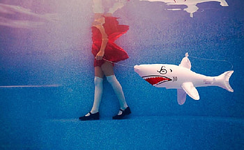 walk your dog, blue, white, red, shark, walk, stockings HD wallpaper