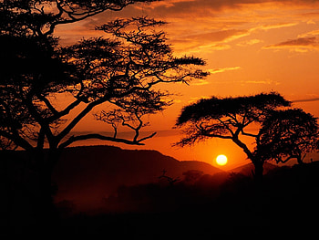 Landscape, Trees, Sunset, Sky, Sun HD wallpaper