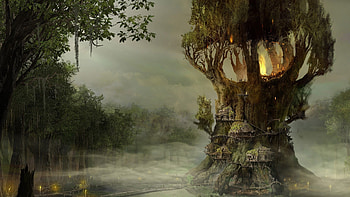Lord of the rings, fantasy, art, light, luminos, forest, lotr, tree HD wallpaper