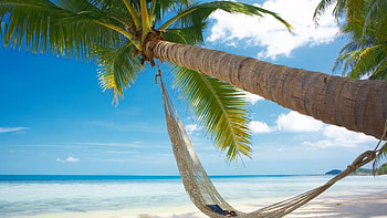 heavenly beach, oceans, sand, palm, beach HD wallpaper