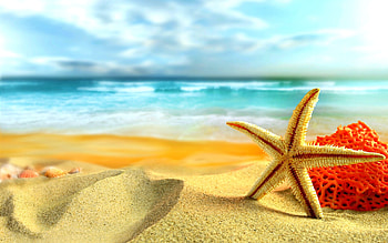 Seaside, Summer HD wallpaper