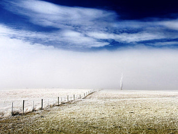 A Frosty Day, blue, day, snow, clouds, sky, nature, frosty, ice HD wallpaper