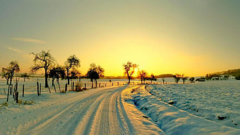 farm road in winter, winter, fence, trees, fields, farms, road HD wallpaper