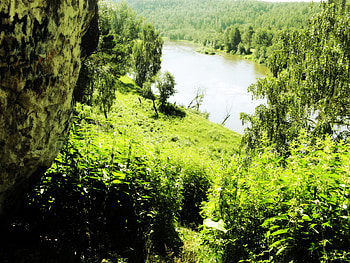 Strange World 3, nature, plants, lake, green HD wallpaper