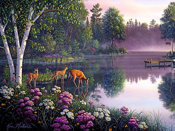 early in the morning at the lake, natur, lakes, flowers, deers HD wallpaper