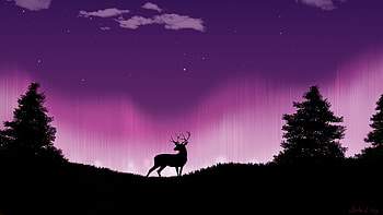 Reindeer in the forest, Peaceful solitude, Nature's harmony, Enchanting realm HD wallpaper