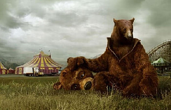 Alternative Art- Bear, bears, circus, alternative, art HD wallpaper