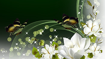 Magical Nights, design, glow, papillon, stars, Bokeh, magnolia, butterflies, butterfly, abstract, light, shine, flowers, fleurs HD wallpaper