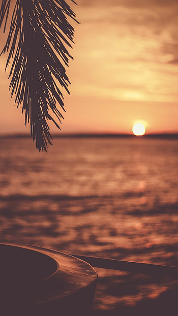 Top 10 sunset, backgrounds, Vibrant colors, Captivating view HD phone wallpaper