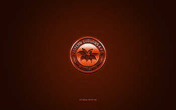 Eastern Suburbs AFC, New Zealand football club, orange logo, orange carbon fiber background, New Zealand National League, football, Auckland, New Zealand, Eastern Suburbs AFC logo HD wallpaper