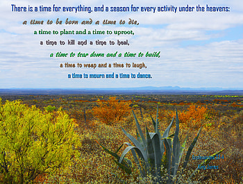 A Time for Everything, brush, inspirational, mountains, Bible, cactus HD wallpaper