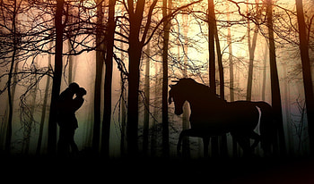 Lovers, horse, forrest, sihouette HD wallpaper