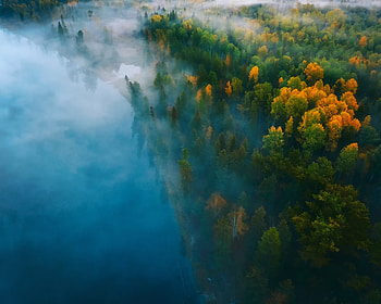 Nature, , Forest, Aerial, Fall, Fog, Tree HD wallpaper