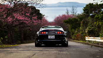 Drive Through Nature's Beauty with a Toyota Supra, car, Toyota, Toyota Supra HD wallpaper