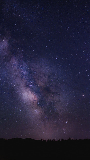 starry sky, night, stars, sky HD phone wallpaper