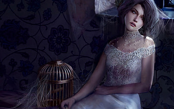 where is my bird, bird, cage, lost HD wallpaper