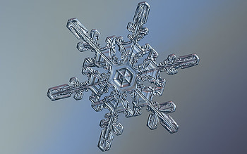 Real Snowflake, winter, blue, snowflake, macro, ice HD wallpaper