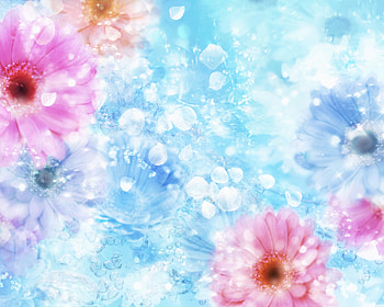 Flowers, Background HD wallpaper