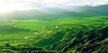 Colombia , Landscape graphy, Travel activities, Valle region HD wallpaper