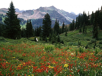Landscape, Nature HD wallpaper