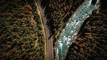 Nature, Trees, View From Above, Road, Forest, Journey, Dahl, Distance HD wallpaper