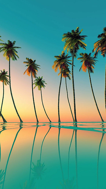 Palm tree backgrounds, Tropical vibes, Exotic beauty, Beach paradise HD phone wallpaper