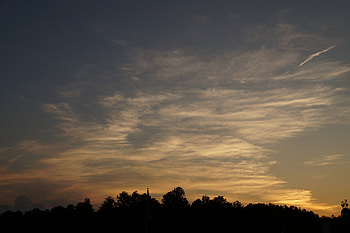 Nature, Trees, Sunset, Sky, Clouds HD wallpaper