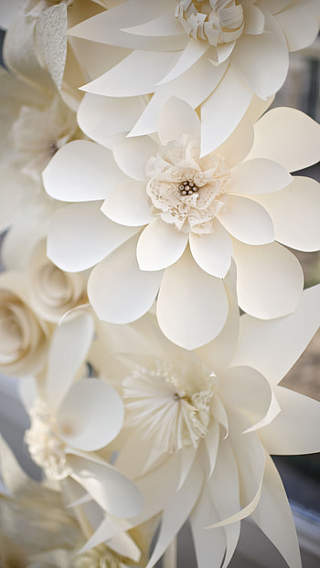 Paper Flowers, White HD phone wallpaper