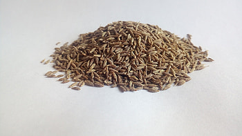 Kerikeri organic cumin seeds, High quality, Sustainable farming, Spice source HD wallpaper