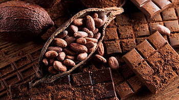 Origin of cocoa, Vulcanotec 2022, Cocoa's journey, Discover cocoa's roots HD wallpaper