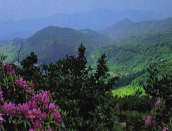 Mountians, view, flowers, mountian HD wallpaper
