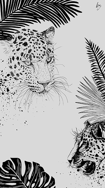 Black and white, blackandwhite, wild HD phone wallpaper