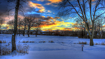 A Winter Sunset Near Madison, Wisconsin, snow, usa, trees, clouds, landscape, colors, sky HD wallpaper