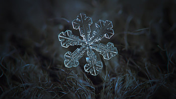 Snowflake, bg, abstract, wp HD wallpaper