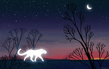 Trees, Art, Night, Predator, Lioness, Glow HD wallpaper