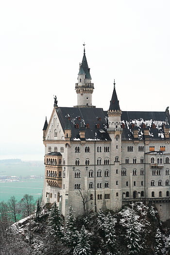Stunning winter view of Neuschwanstein Castle surrounded by snowy landscape in Schwangau, Bavaria. HD phone wallpaper