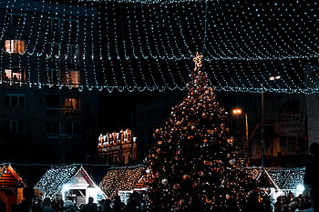 Beautifully decorated Christmas market in Iași, Romania at night, featuring a large Christmas tree and festive lights. HD wallpaper