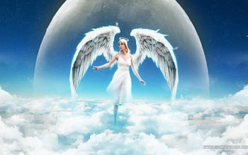 fairy, amit, omdave, matu, hrdave HD wallpaper