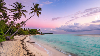 Caribbean Paradise Beach Ultra, caribbean, beach, ocean, palm tree, tropical HD wallpaper