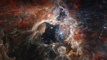 Tarantula Nebula, tarantula-nebula, nebula, digital-universe, artist, artwork, digital-art HD wallpaper
