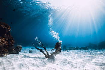 Sea bottom, Diving HD wallpaper