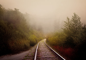 Nature, Trees, Turn, Fog, Railway HD wallpaper